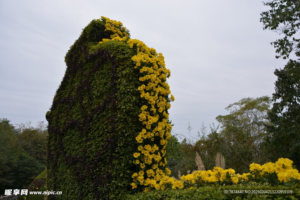 藤蔓覆盖的岩石与黄花