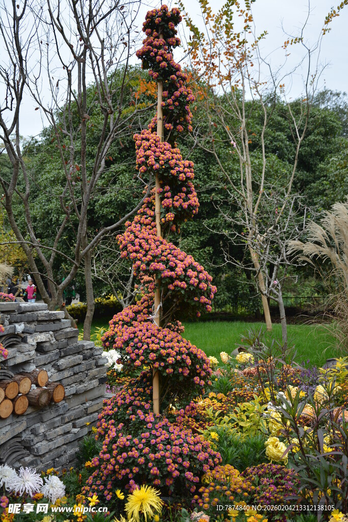秋日花园中的多彩植物造型