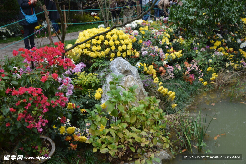 多彩花卉装点的美丽景致