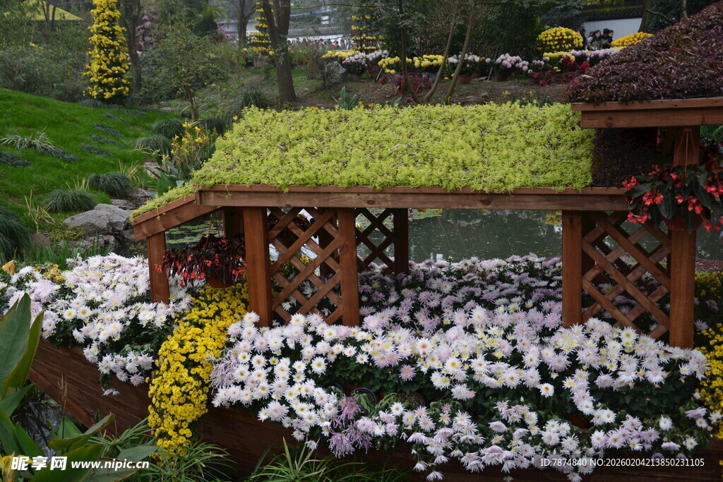 花园中别致的绿植凉亭