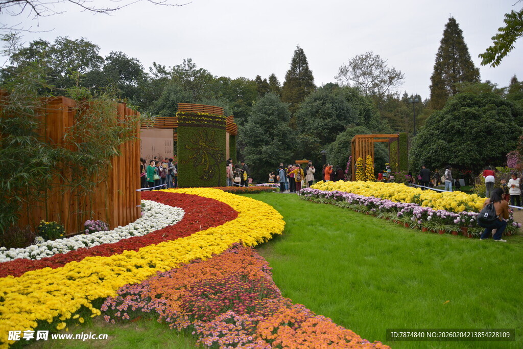 多彩花卉装点美丽花园