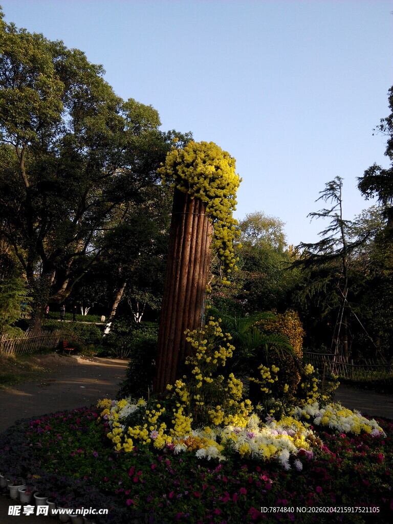 花园中的多彩花卉景观