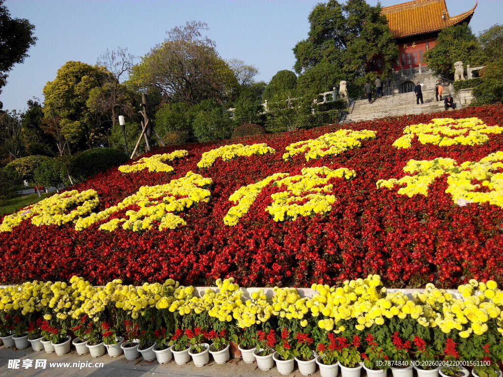 国庆花卉景观布置