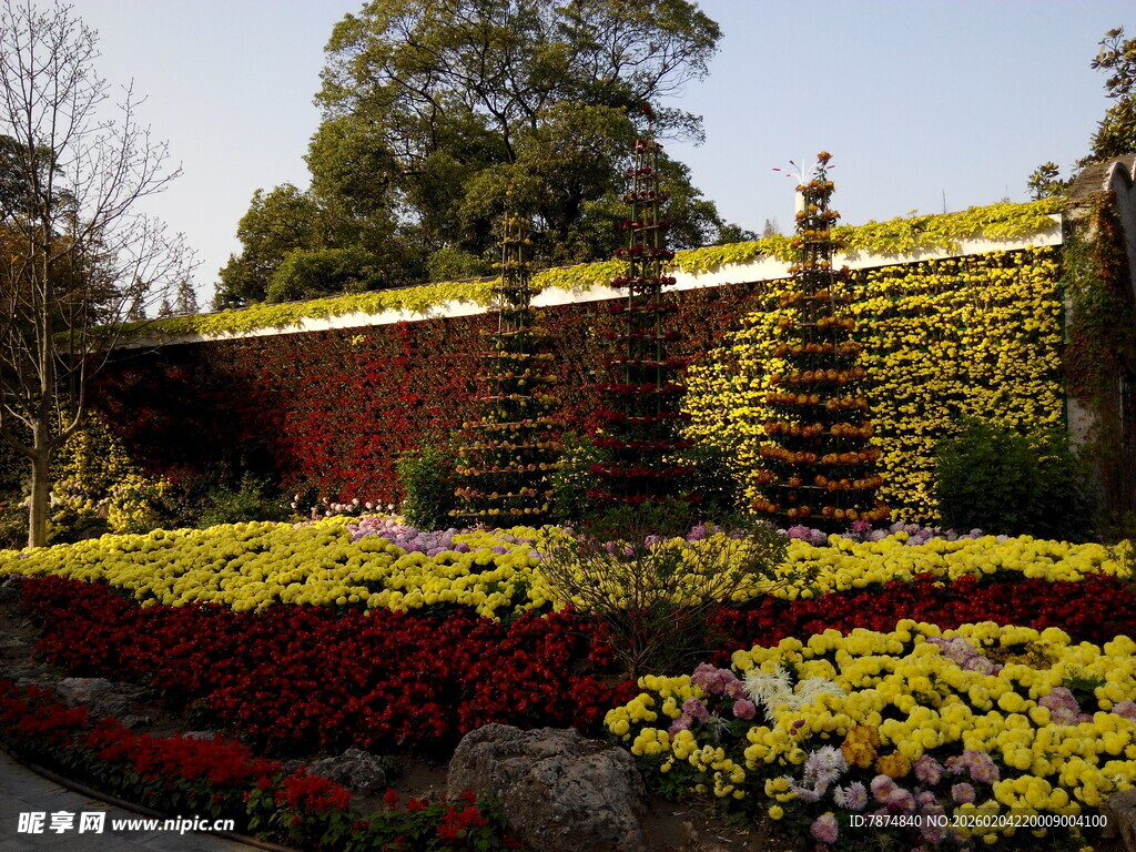 花园多彩花卉景观
