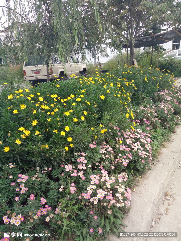 多彩花卉装点的小径