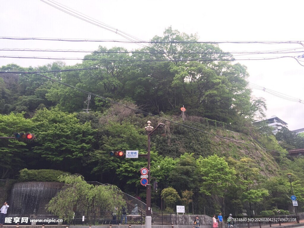 日本绿意盎然的山坡景致