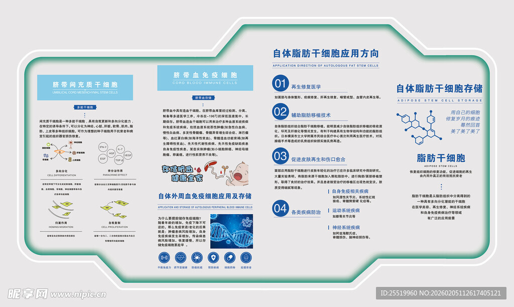 脂肪干细胞文化墙