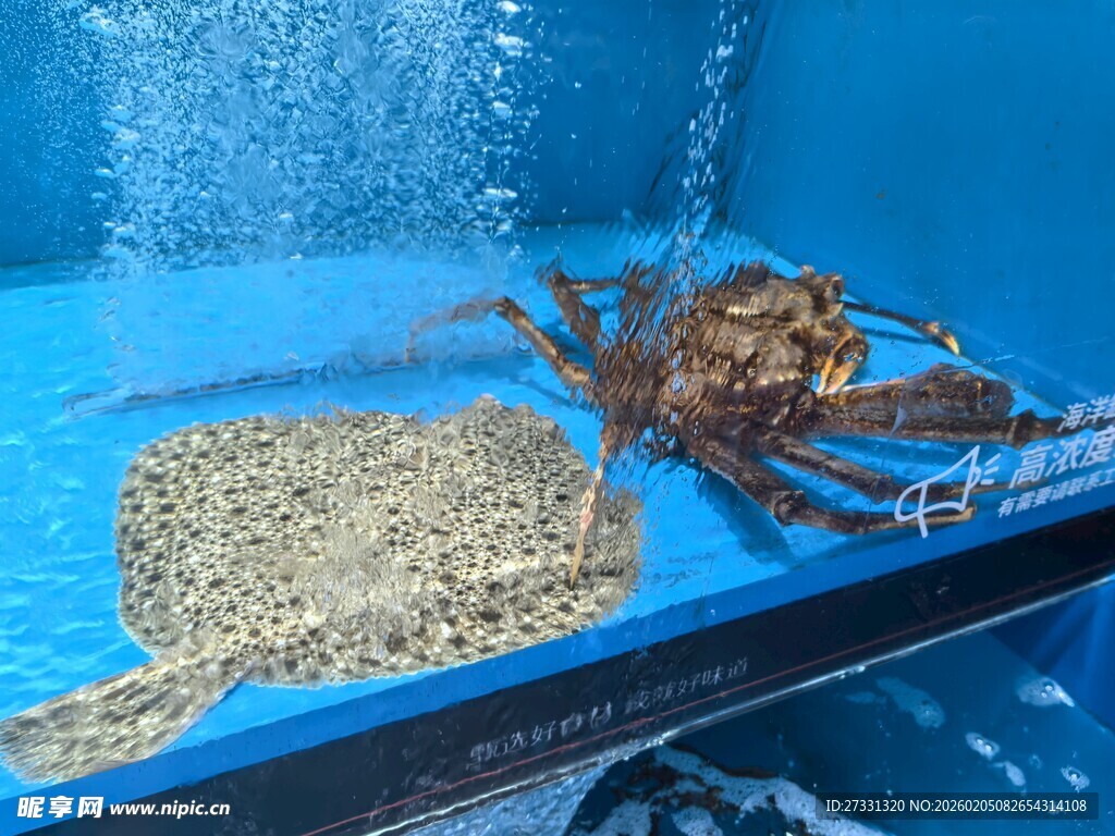 蓝色容器中的大螃蟹