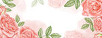 玫瑰花卉边框