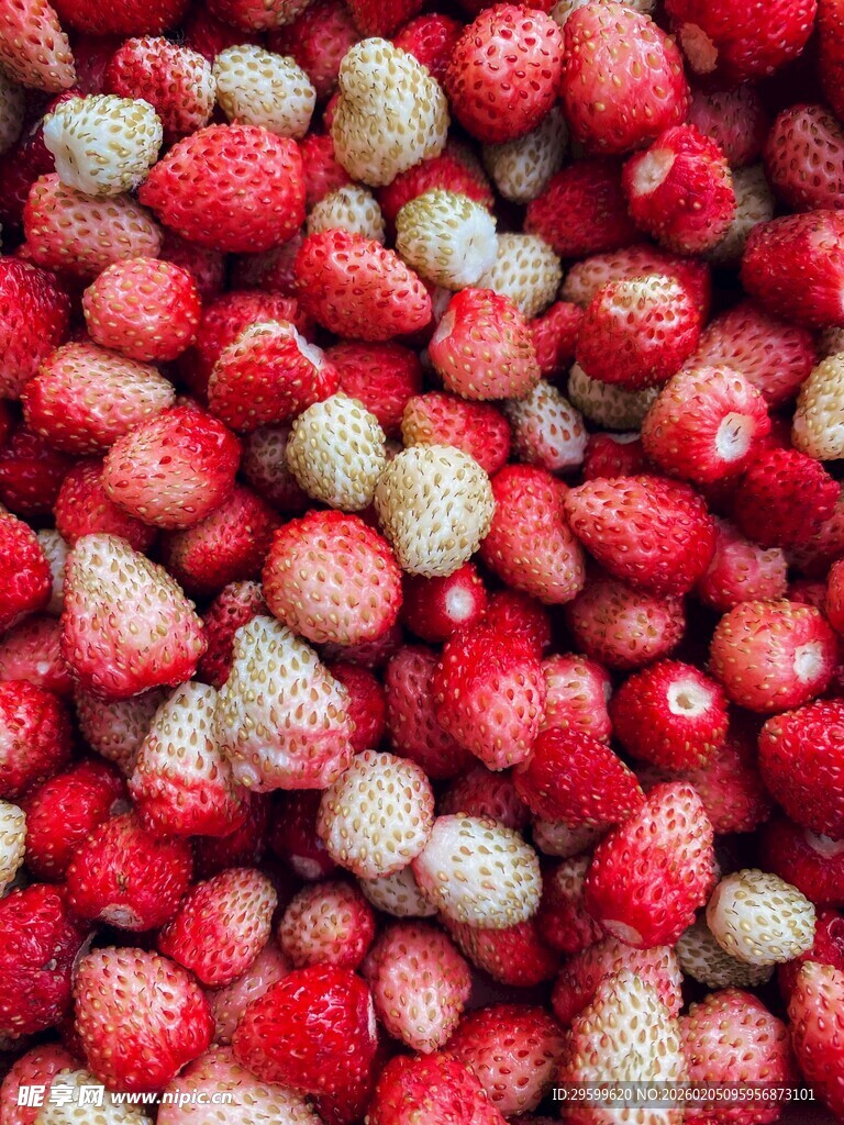 新鲜多彩草莓大集合
