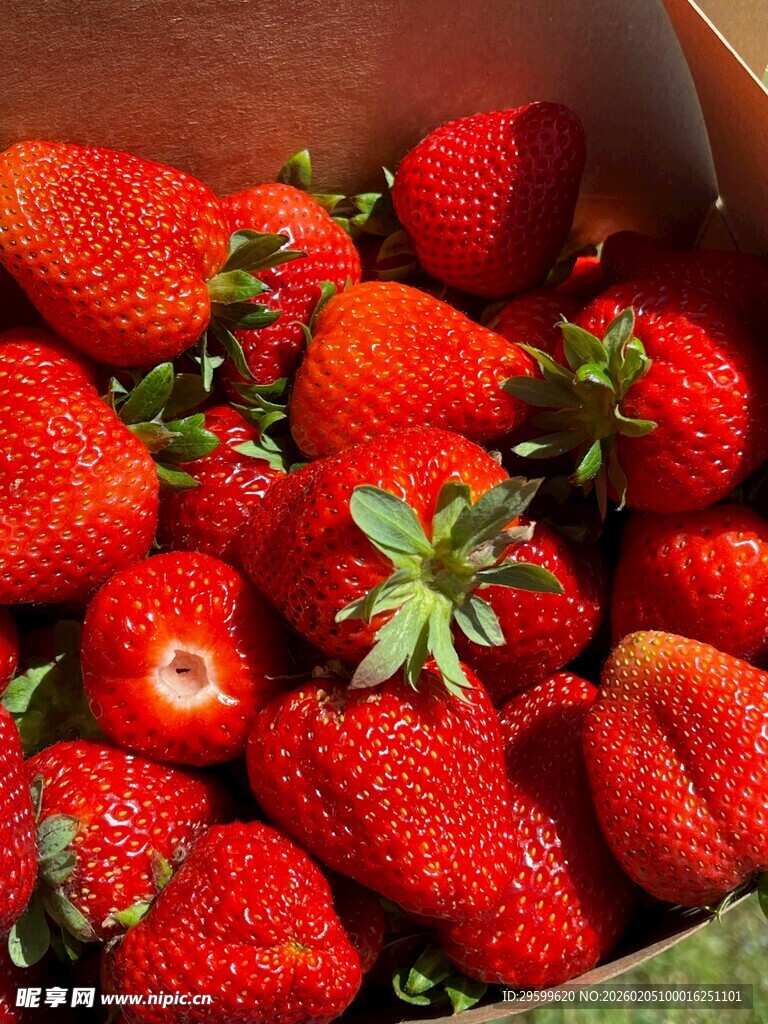 新鲜饱满的盒装草莓