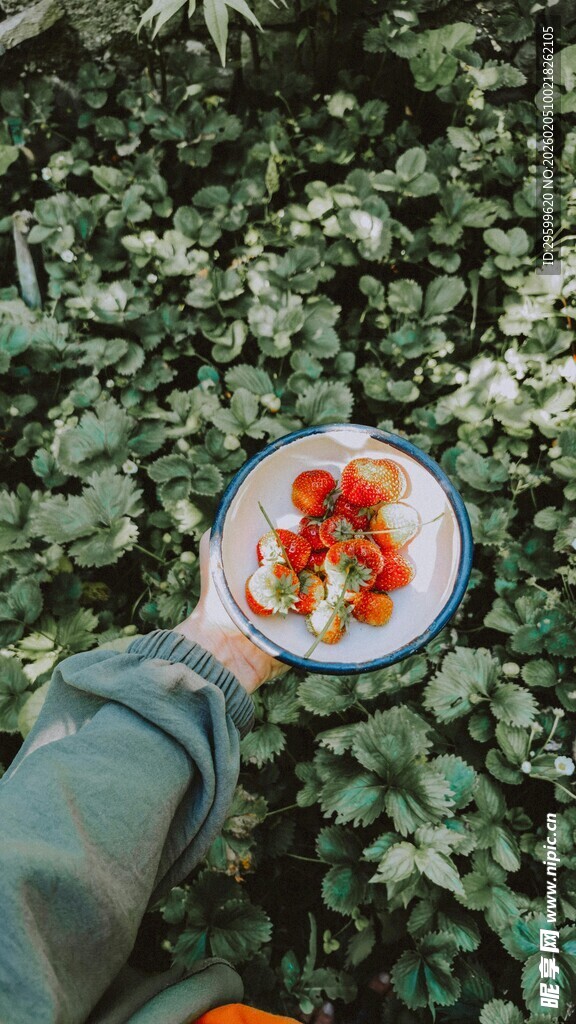 户外手捧蔬果的清新画面