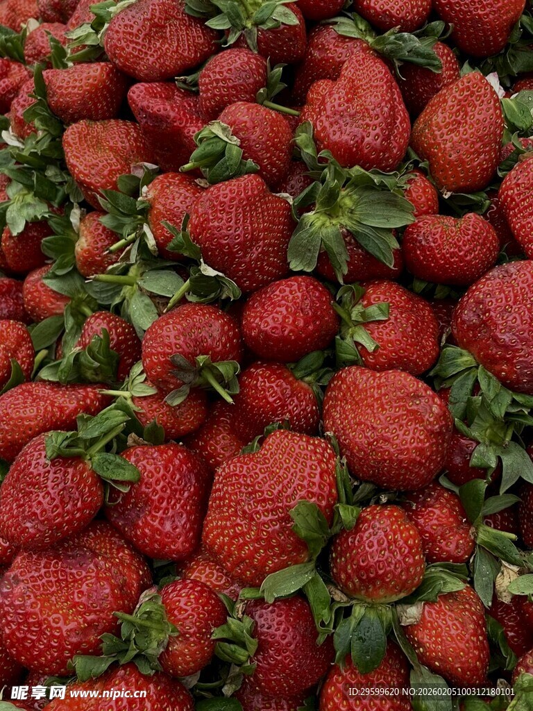 新鲜饱满的红颜草莓