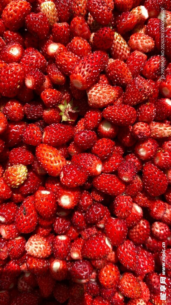 新鲜饱满的草莓大集合