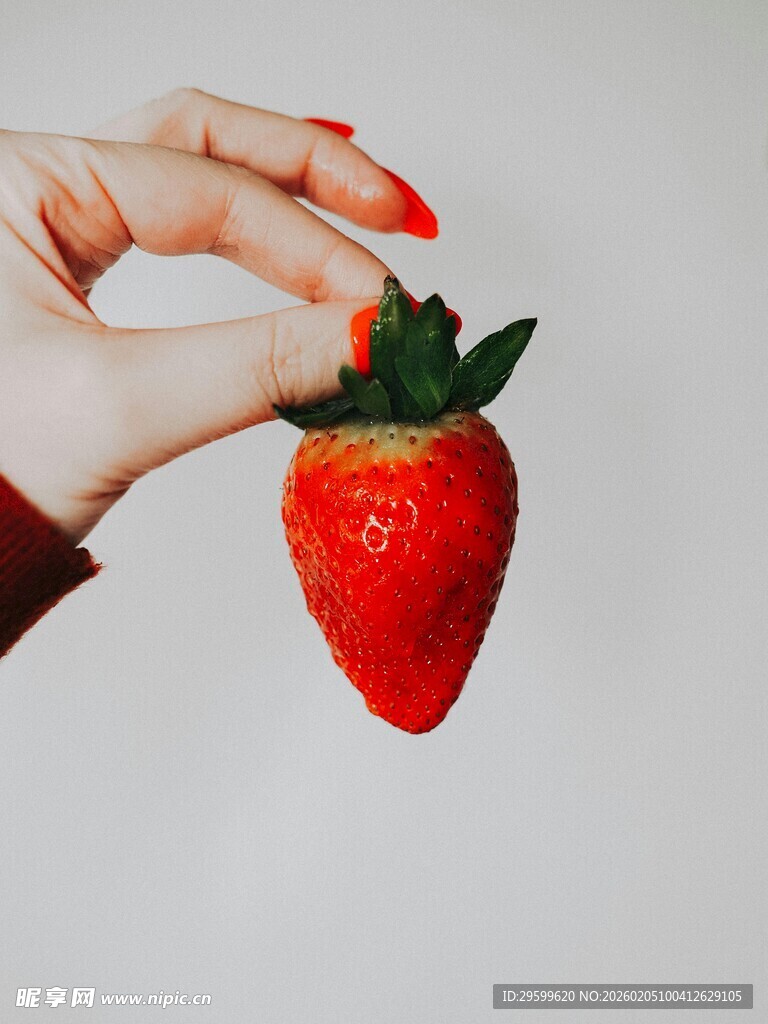 手捧鲜红草莓特写