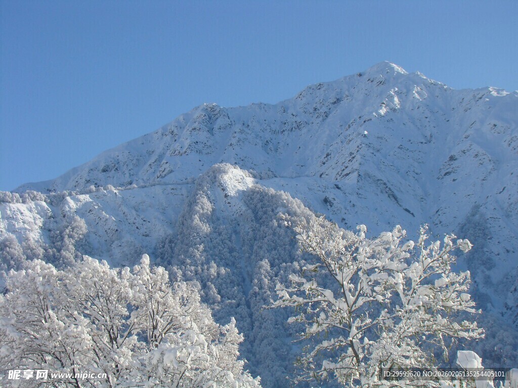 雪覆山峦与树木美景