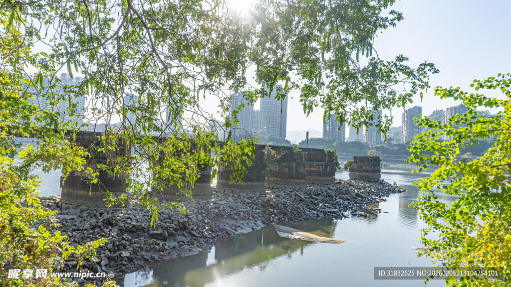 河畔绿树环绕的城市风光