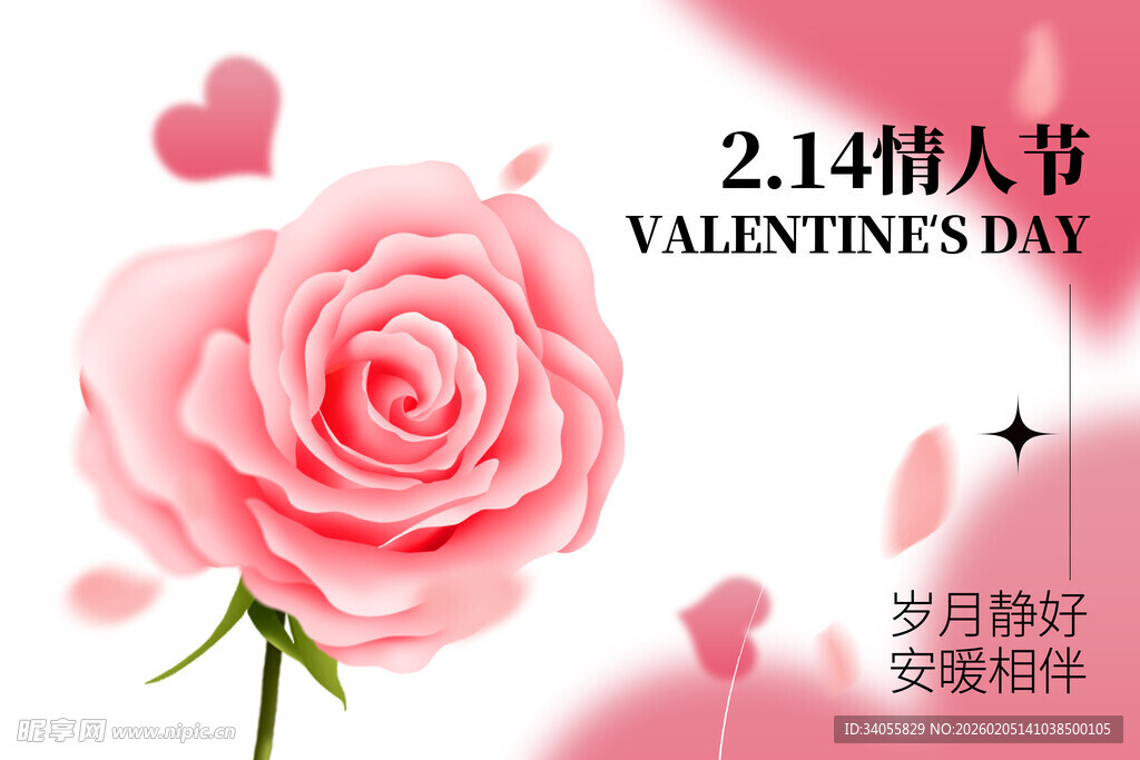 情人节粉色浪漫玫瑰花