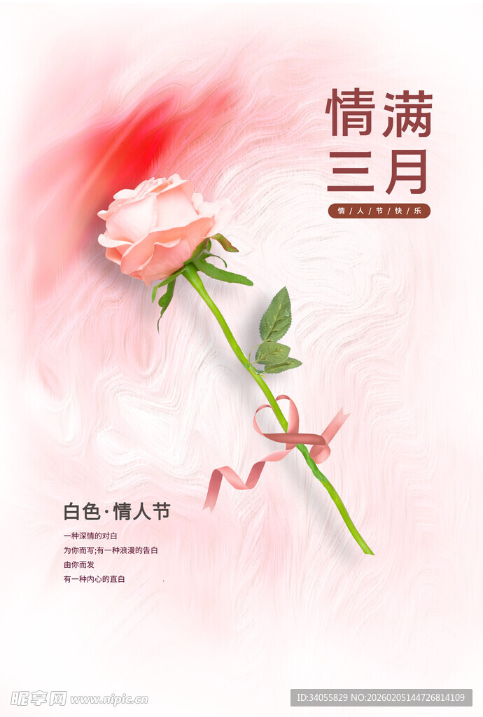 三月情浓粉色玫瑰绽放