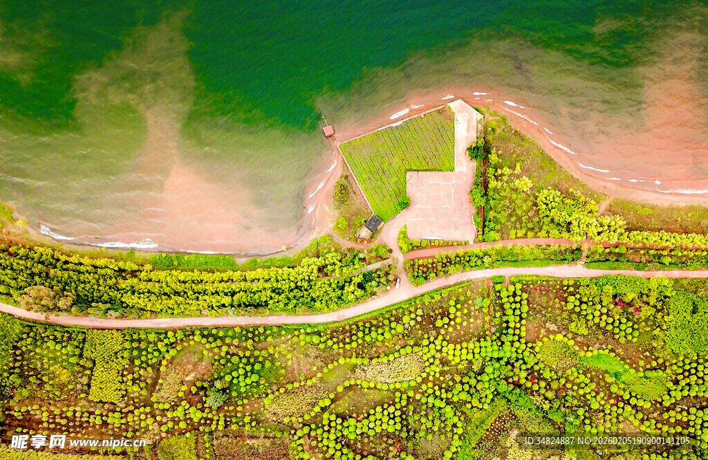 俯瞰湖畔绿地中的建筑