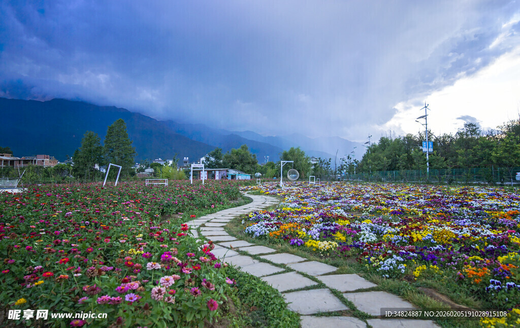 花海小径邂逅自然之美
