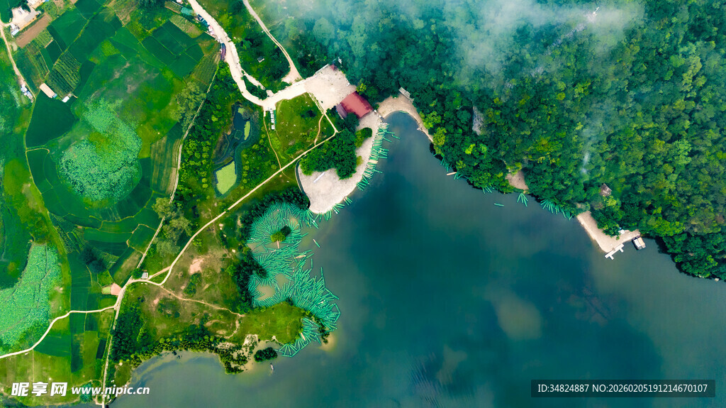 俯瞰翠绿海岸与水域景观