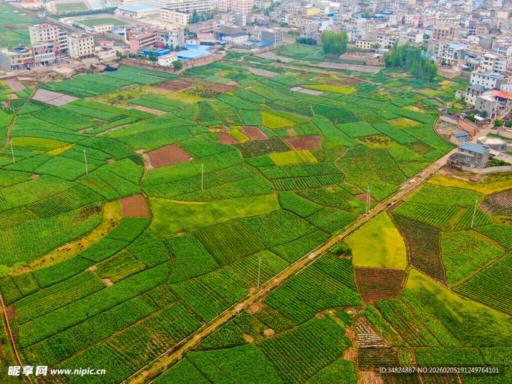 俯瞰翠绿田野风光