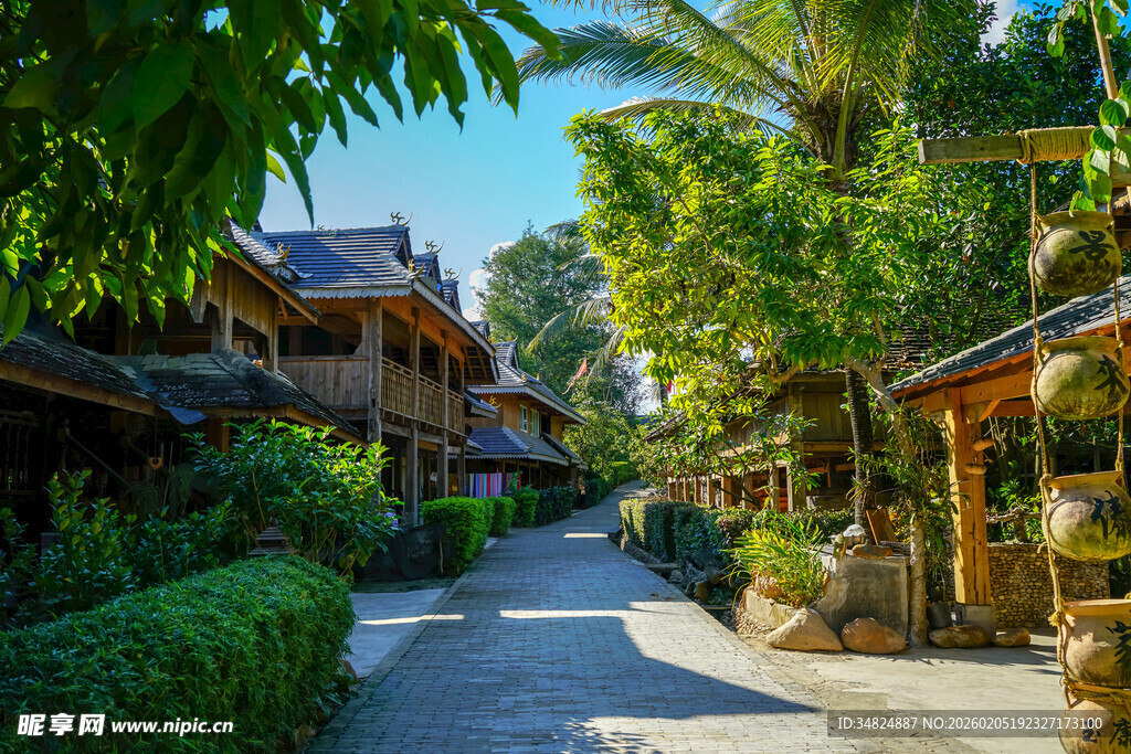 热带风情的静谧村落小道