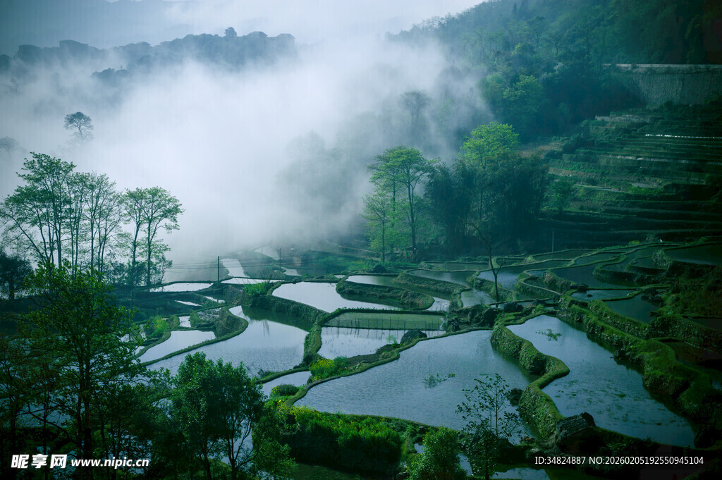 云雾缭绕中的绝美梯田景观