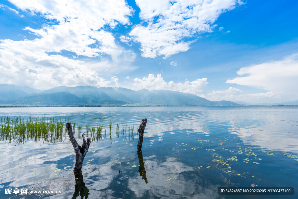 宁静湖面枯木映蓝天白云