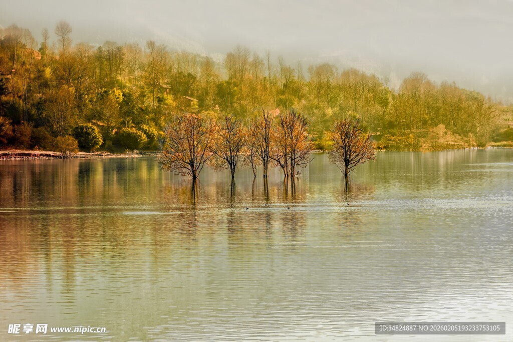 秋日水畔树木倒影美景