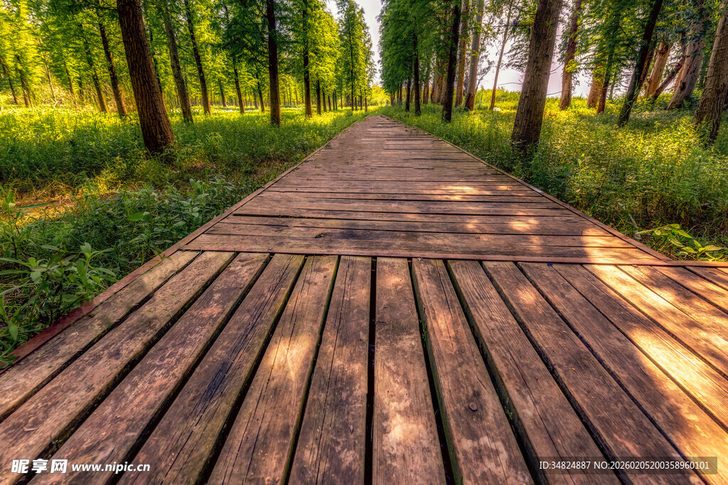 林间木栈道