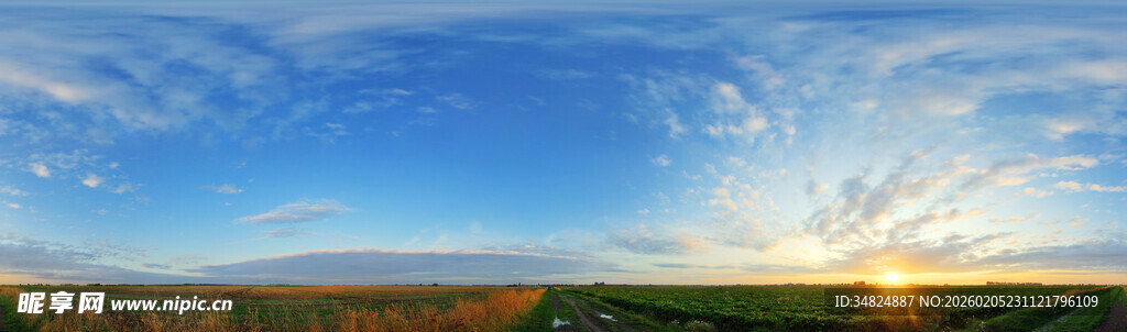 壮丽日出下的广袤原野