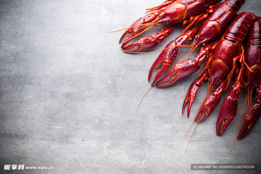 新鲜小龙虾摆放