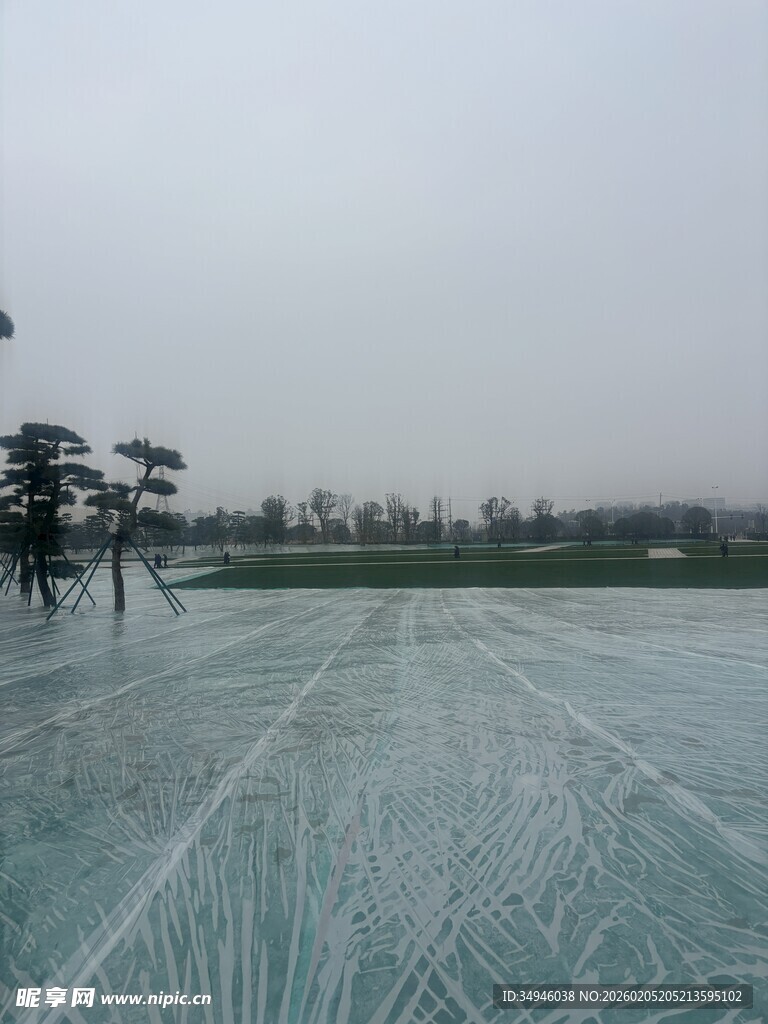 冰封湖面与岸边树木景观