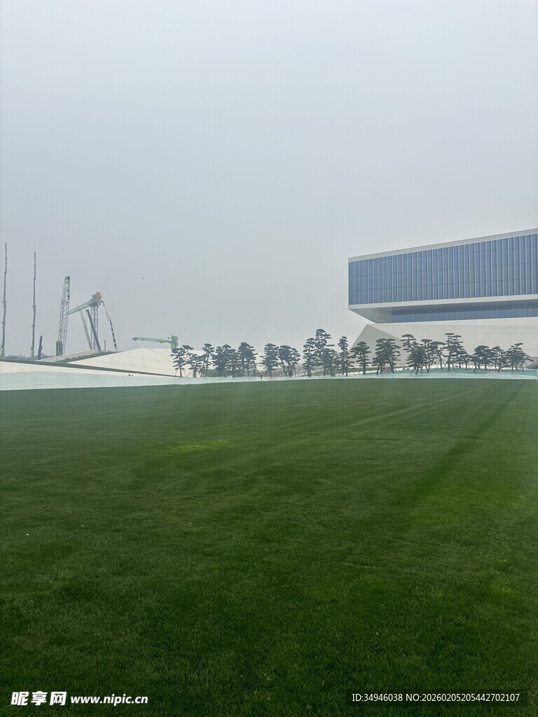 开阔绿地旁的现代建筑