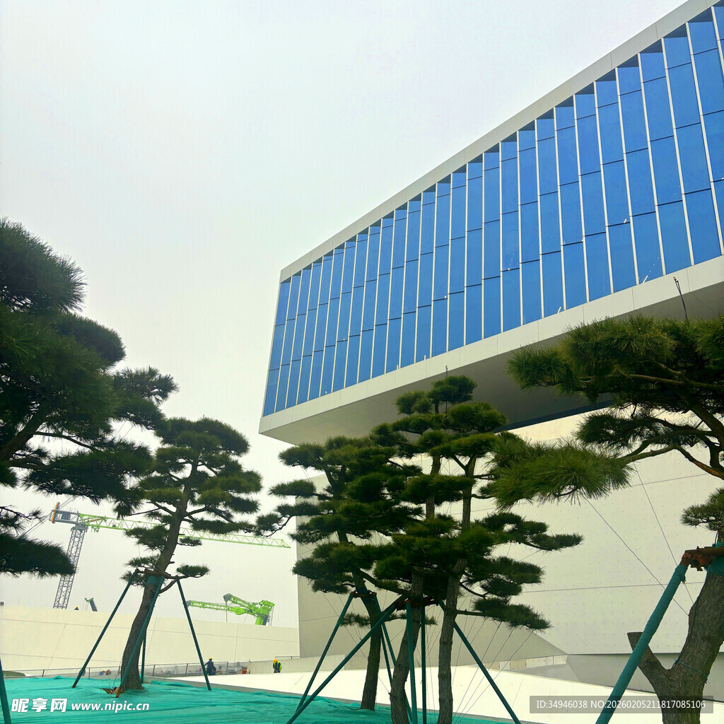 现代建筑旁的造型树木景观