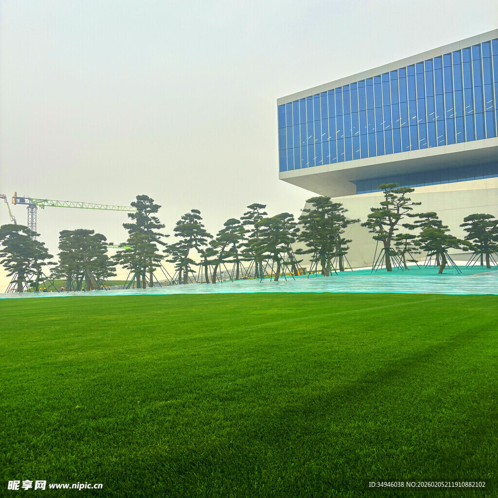 城市中开阔的绿茵草地