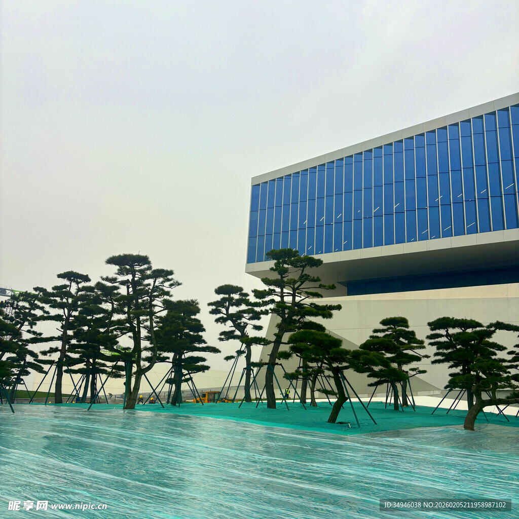 现代建筑旁的整齐绿植景观