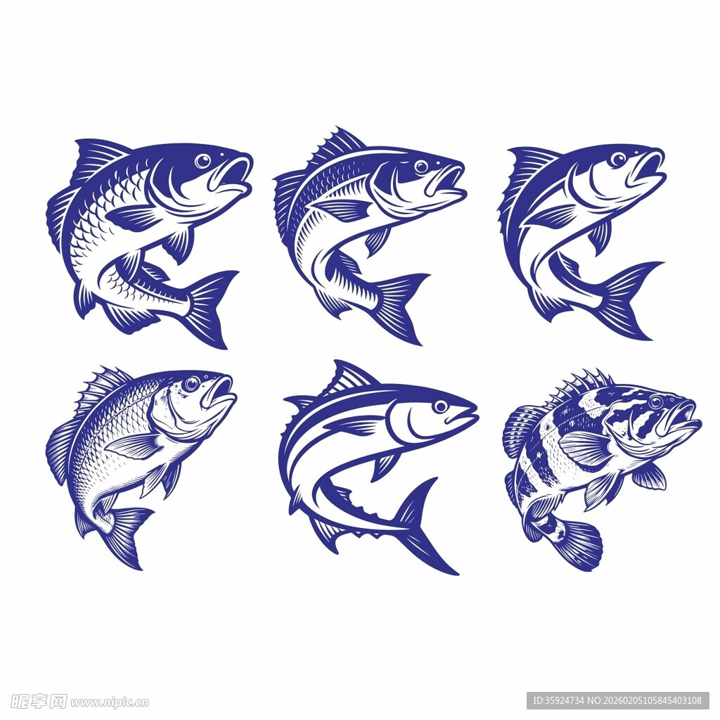 鱼类图案矢量素材