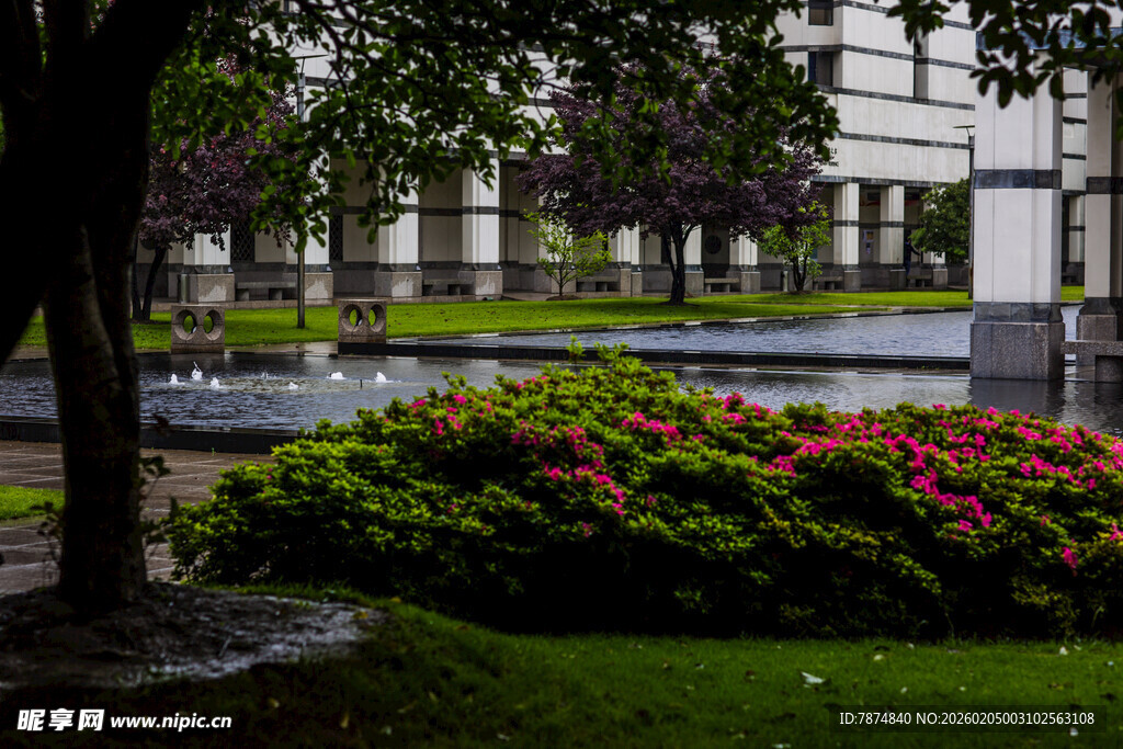 校园花园中的绿植与花卉景观