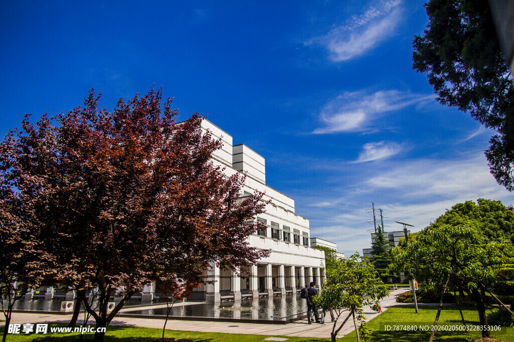 校园校园中的现代建筑与绿树