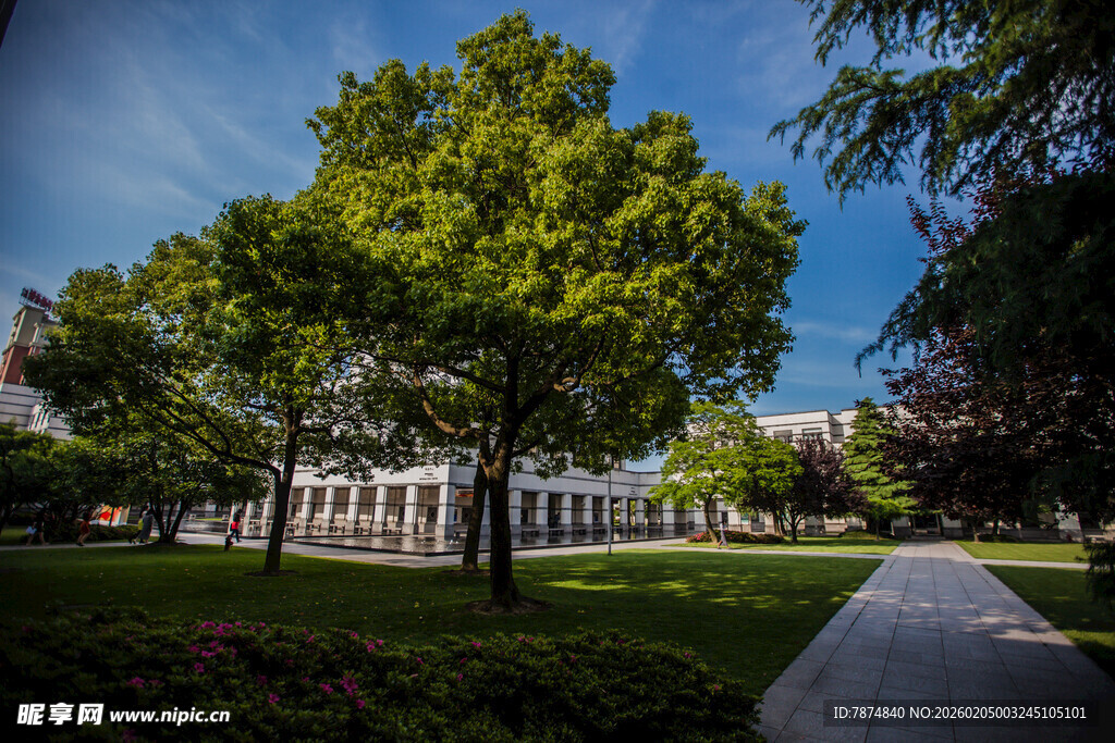 校园校园绿树成荫的宁静小路