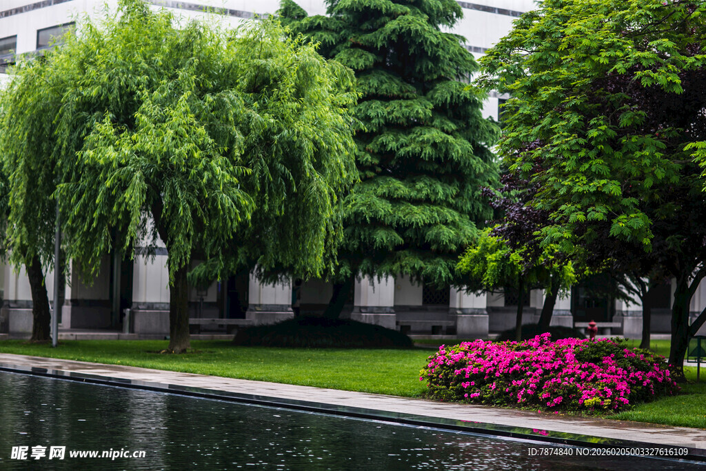 校园河畔垂柳与繁花景观
