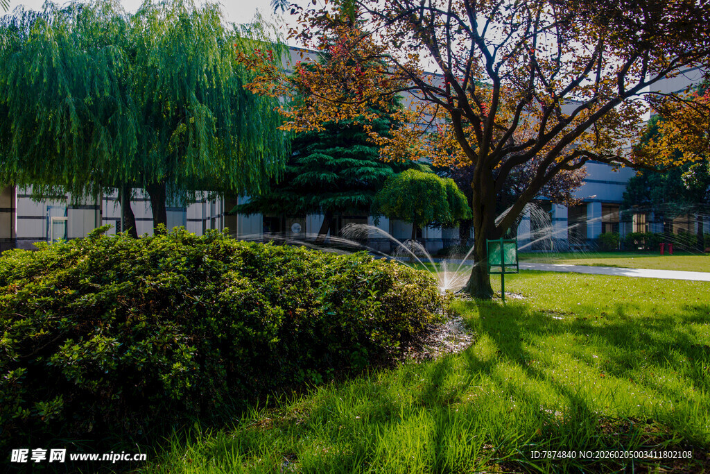 校园秋日公园绿意盎然景致