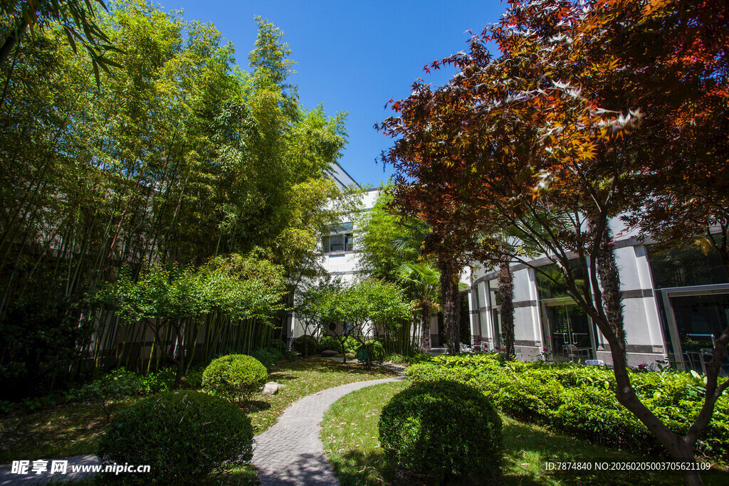 校园庭院绿植景观 清幽小径