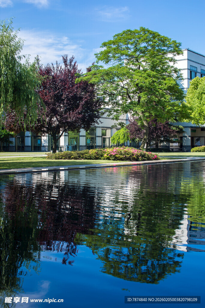 校园湖畔绿树成荫的美丽景致