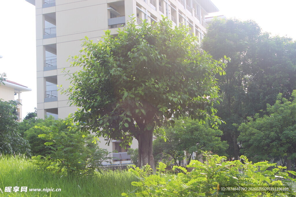 广医小区绿植环绕的清新景致