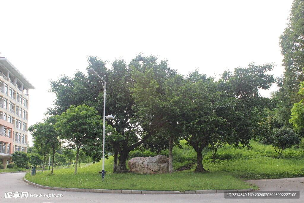 广医城市中的绿意公园景观