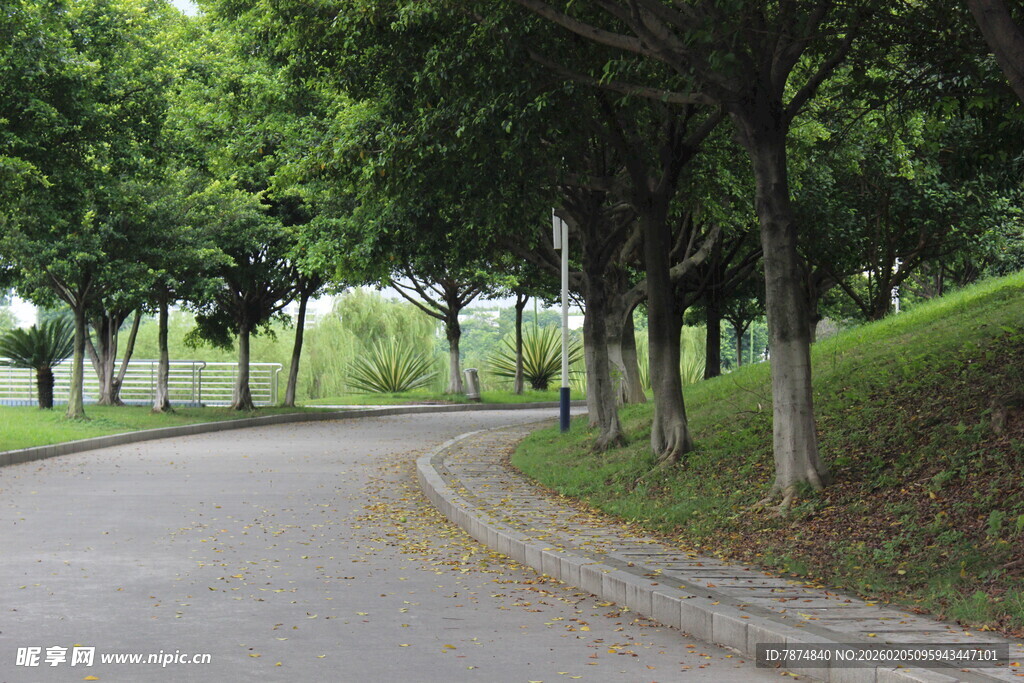 广医林荫小道 静谧自然风光